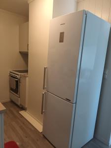 Kuchyň nebo kuchyňský kout v ubytování Olgas apartment