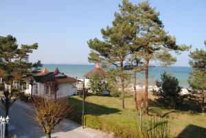 Φυσικό τοπίο κοντά σε αυτό το διαμέρισμα +18 φωτογραφίες