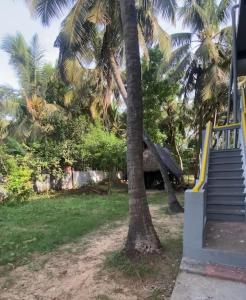 גינה חיצונית ב-2 bed Flat to rent in Nedungadu, near Thirunallar