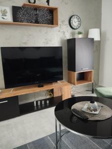 TV in/ali zabaviščno središče v nastanitvi Apartman Green!!