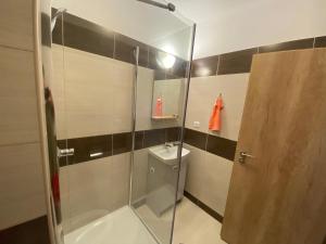 uma casa de banho com um chuveiro, um WC e um lavatório. em Apartmány Pod Vrchem Kytlice 71 em Kytlice