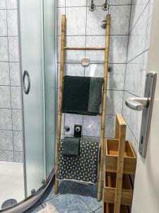 a bathroom with a shower with a green towel at Apartments Dent in Umag