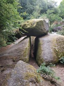 two large rocks with moss on them in a forest at La Maison des Fleurs in Scrignac