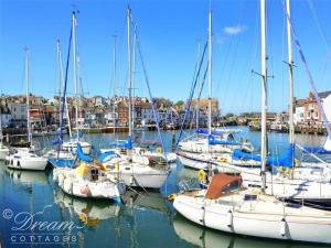 un groupe de bateaux est amarré dans un port dans l'établissement Admiral's Quarter Apartment 5, à Weymouth 3 autres photos