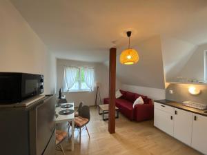 uma cozinha e uma sala de estar com um sofá vermelho em Apartmány Pod Vrchem Kytlice 71 em Kytlice