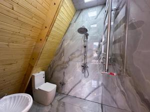 Koupelna v ubytování Gabala Chesnut Villa Resort