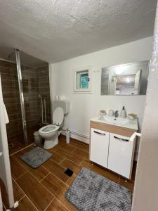 a bathroom with a toilet and a sink at Cosy wooden house in the heart of Apuseni. in Beliş