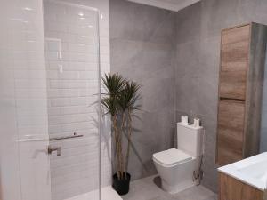 baño con aseo, ducha y planta en Getxo Beach Apartment by Getxo Garden Houses, en Getxo