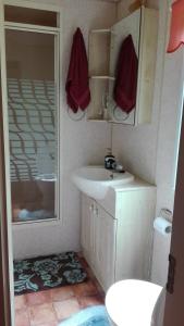 a bathroom with a sink and a mirror at Mobilhome Camping Paradijs in Zlatá Koruna