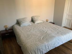 ein Bett mit zwei Kissen darauf in einem Schlafzimmer in der Unterkunft Le calme au coeur de Chauvigny in Chauvigny