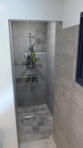 uma cabina de duche na casa de banho com um chuveiro em Villa d’archi. piscine privée en écrin de verdure em Mérignac