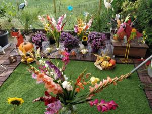 eine Ausstellung von Blumen und Gemüse in einem Garten in der Unterkunft Gemütliches Zimmer in ruhiger Umgebung Privatanbieter in Lyss