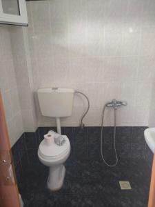 a bathroom with a toilet and a shower at Vigla House in Sykia Chalkidikis