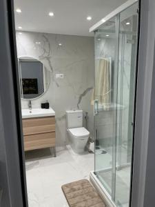 een badkamer met een douche, een toilet en een wastafel bij Chapitela Suite in Pamplona