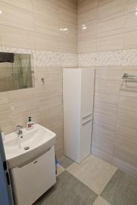 ein Badezimmer mit einem weißen Waschbecken und einer Dusche in der Unterkunft Apartmány Daros in Dvůr Králové nad Labem
