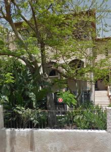 Boutique Penthouse by Weizmann - פנטהאוס בוטיק外面的花园