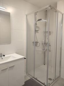 a bathroom with a glass shower and a sink at Casa Dina II. in Carballino