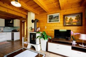a living room with a television and a fireplace at Apartma Smithy (Kovačnica) in Laško