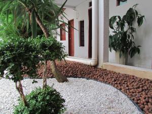 a courtyard with two trees and a building at Pousada Nossa Casa in Maceió