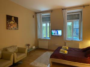 een slaapkamer met een bed, een stoel en een televisie bij Budapest Clark Apartman ** in Boedapest