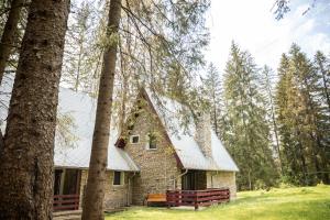 an old stone house in the middle of a forest at Vilele Voineasa in Voineasa