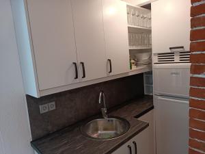 Η κουζίνα ή μικρή κουζίνα στο Cottage Auto Camp Vinac