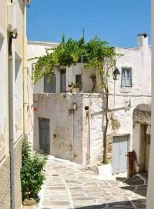 an alley with a building with a tree on top of it at Katerina's traditional house in lefkes village in Lefkes