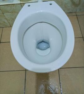 a white toilet seat with water in the bowl at Mkombodzi Global Homes in Mtwapa