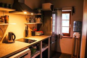 Virtuvė arba virtuvėlė apgyvendinimo įstaigoje Lejasbisenieki
