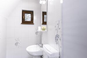 Ένα μπάνιο στο Vilele Voineasa +70 φωτογραφίες