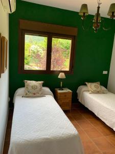 2 Betten in einem Zimmer mit grünen Wänden in der Unterkunft Villa Juan in La Adrada
