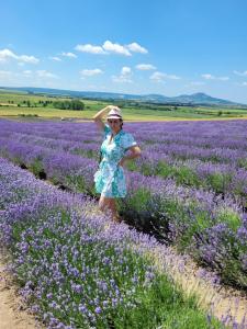 uma mulher num campo de lavanda em Apartmány pod Pálavou em Starovičky