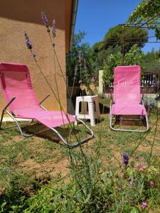 Fotografie z fotogalerie ubytování Apartment Savic v destinaci Starigrad-Paklenica + 56 fotografií