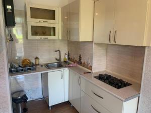 Kuchyň nebo kuchyňský kout v ubytování Guesthouse BATU