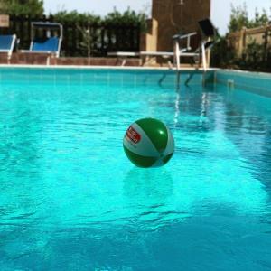 The swimming pool at or close to Sunshine House