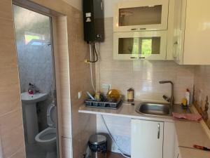 a small kitchen with a sink and a toilet at Guesthouse BATU in Kutaisi