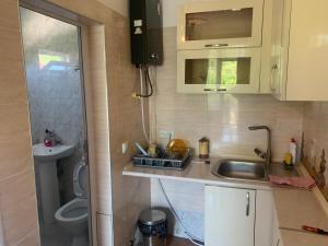 Kuchyň nebo kuchyňský kout v ubytování Guesthouse BATU + 36 fotografií