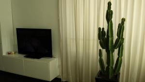 a tv sitting on a cabinet next to a cactus at Apartamento Paco in Playa del Ingles