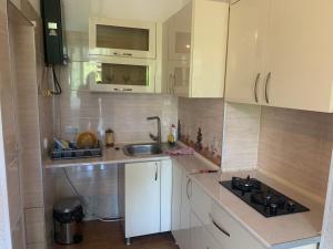 Kuchyň nebo kuchyňský kout v ubytování Guesthouse BATU
