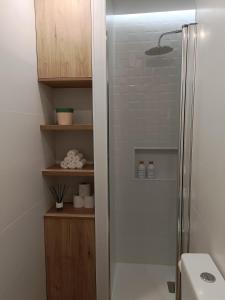 um chuveiro com uma porta de vidro na casa de banho em Apartamento Doctor Tourón em Vilagarcía de Arousa