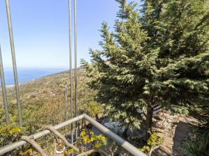 Paesaggio naturale nelle vicinanze della villa