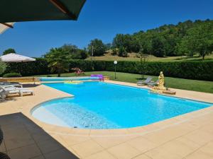 einen Pool in einem Garten mit Stühlen und einem Sonnenschirm in der Unterkunft Le Malpas Kingfisher in Belvès