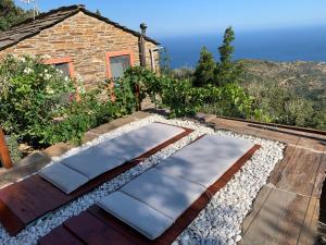 Paesaggio naturale nelle vicinanze della villa