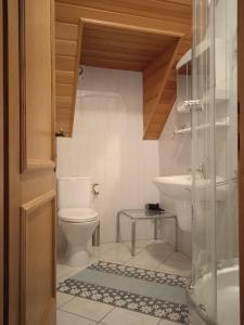 a bathroom with a toilet and a sink at Balaton White House in Vonyarcvashegy