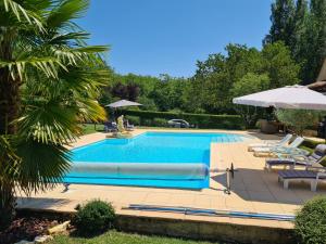 a large swimming pool with chairs and an umbrella at Le Malpas Kingfisher in Belvès