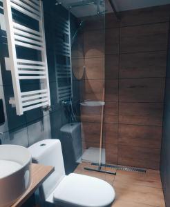 a bathroom with a shower with a toilet and a sink at Apartamenty w Pieninach in Sromowce Wyżne