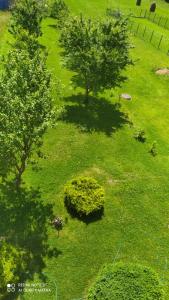 an overhead view of a green field with trees at Apartamenty w Pieninach in Sromowce Wyżne