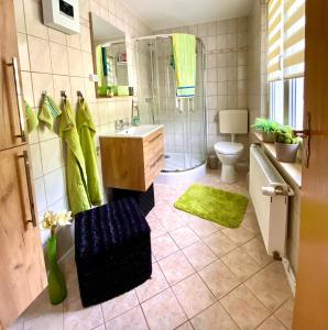 a bathroom with a sink and a shower and a toilet at Ferienhaus am Schloßpark in Elbingerode
