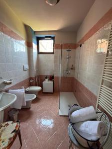 ein Bad mit einer Dusche, einem WC und einem Waschbecken in der Unterkunft The Tower Of The Old King in Desenzano del Garda
