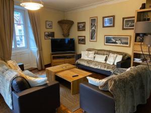 夏蒙尼-勃朗峰莱昂别墅的有两张沙发和一台电视的客厅